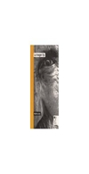 la imagen fija - martine joly