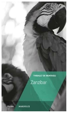zanzíbar - thibault de montaigu