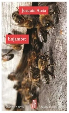 enjambre - joaquin areta