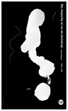 no importa si no es musica - jun yan - lianke yan