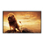 Pantalla Proyector Fija Eco Widescreen 100" Intelaid IT-SPE100