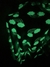 CORAL FLEECE LUMINOSO 1,6 POR KILO en internet