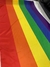 BANDERA LGTB