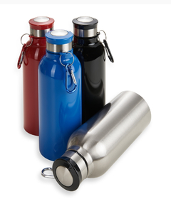 SQUEEZE INOX 700ml. - comprar online