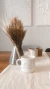 Set x4- Tazas Animals en internet