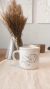 Set x4- Tazas Animals