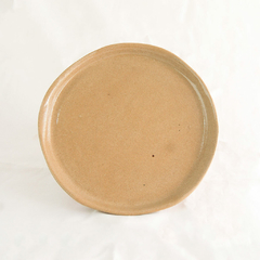 Prato de jantar vai-com-tudo