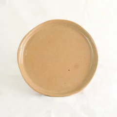 Prato de jantar vai-com-tudo