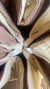 Imagen de PLAYMATES LISOS REVERSIBLES