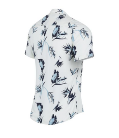 Camisa mc island Hang Loose CAM1010BB - comprar online
