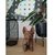 Buldogue tridimensional em madeira