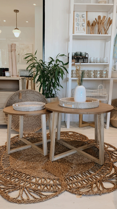 MESA RATONA GERVASONI