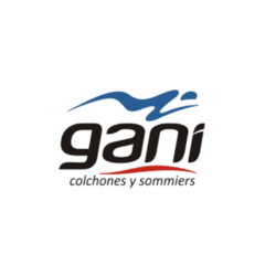 Sommier Gani Angelus Espuma 160x200 Queen