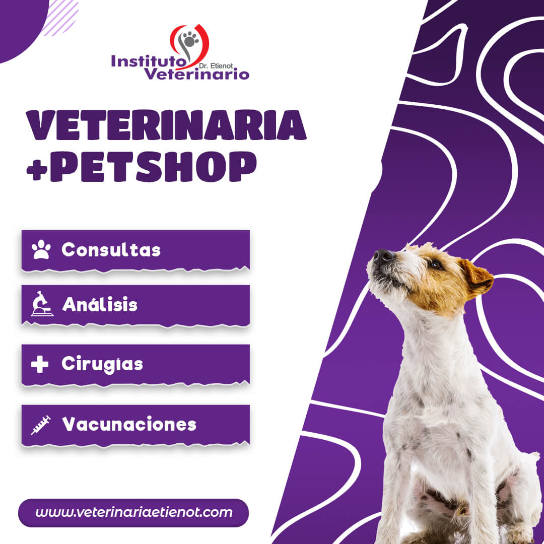 Quienes Somos - Veterinaria Etienot