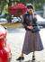 Falda Amaltea