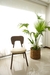Silla Francia Ceniza