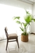 Silla Japon Ceniza - tienda online