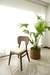 Silla Francia Ceniza - grees