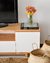 Mueble de TV New en internet