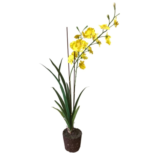 Orquídea Chuva de Ouro - Comprar em REALIZART DESIGN