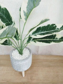Imagen de Planta con Maceta Dibujada