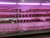 Tubo de led 18w 120 cm luz rosa (Carnicería) en internet