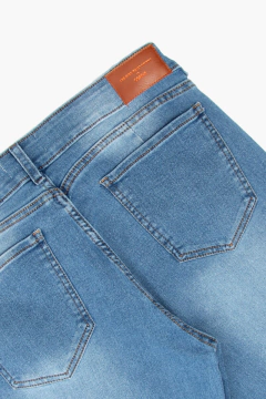 Skinny Plus Size Blue Washed (505)