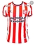 Remera CASM