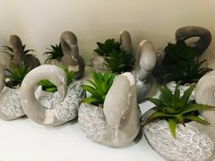 Vasinho Cisne com suculenta Plantinhas decorativo - comprar online