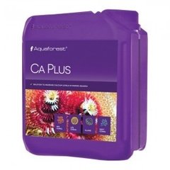 ca plus