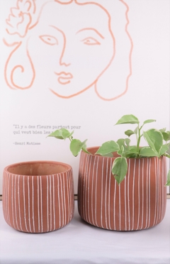 vaso de plantas terracota e listras irregulares