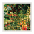 Café Golden 250 grs - The Trinitario Coffee