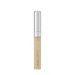 Corrector TRUE MATCH Loreal en internet