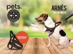 Arnes Premium noruego - comprar online