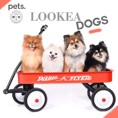 #Lookeadogs Los Pome