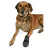 Botas Protectoras Walker Care Talle S en internet
