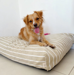 CAMA PERROS RAYAS ARENA en internet