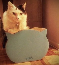 Rascador Cato deluxe