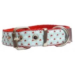 Collar sky Blue