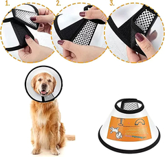 Collar Isabelino Perros Talle 7 - tienda online