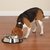 COMEDERO COME LENTO DE ACERO INOXIDABLE CON BASE ANTIDESLIZANTE - pets