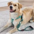 Correa Alpina + Pretal Regulable Para Perros - comprar online