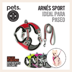 Arnés Urban Sports