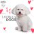 #Lookeadogs Coco