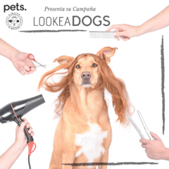 #Lookedogs Doris