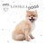 #Lookeadogs Bart