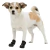 Botas Protectoras Walker Active Talle L - comprar online