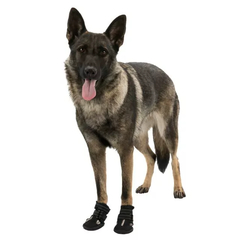 Botas Protectoras Walker Active Talle L en internet