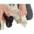 Botas Protectoras Walker Active Talle XS - comprar online