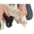 Botas Protectoras Walker Active Talle L - comprar online
